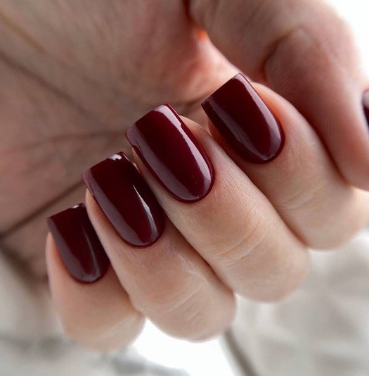 VSP PARIS NAIL classic 048 10ml (Bordeau ) – Image 2